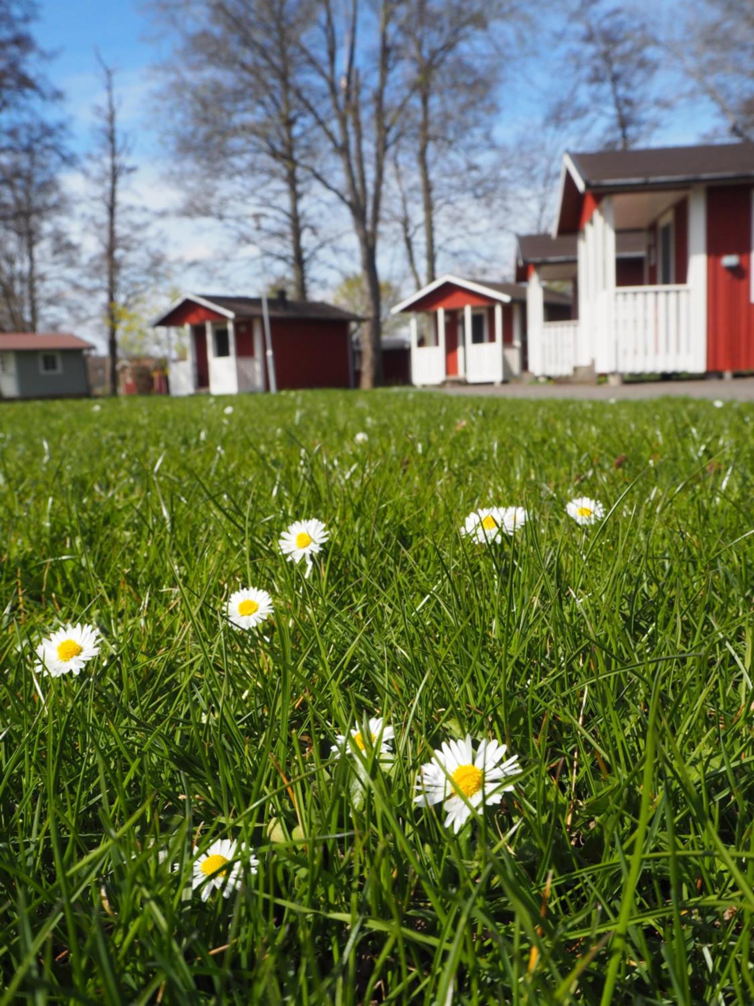 Skara Stads-Camping & Stugby Kültér fotó